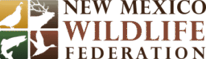 new-mexico